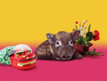 ダヴィネス福袋19予約は伊勢丹 中身ネタバレ 福袋予約と中身ネタバレ